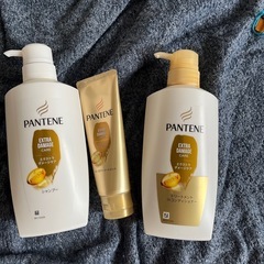 パンテーン　ダメージリペア　お試しセット　新品の画像