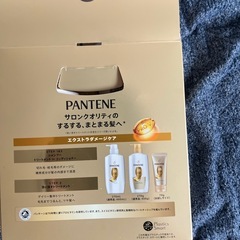 パンテーン　ダメージリペア　お試しセット　新品の画像