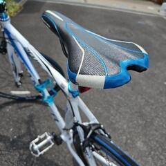 PANTHER ロードバイク ホワイト/ブルー