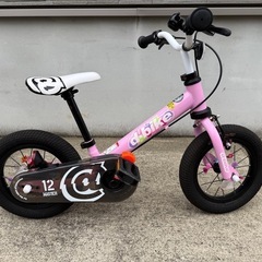 アイデス D-Bike Master 12 （ディーバイクマスター 12）の画像
