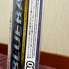 ブルーベイ磯玉網　540プロマリン　未使用ランディングネットの画像