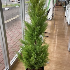 【トレファクマーケット久喜店】dinos　人工観葉植物ゴールドクレスト１５０の画像