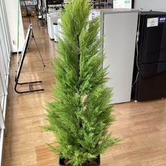 【トレファクマーケット久喜店】dinos　人工観葉植物ゴールドクレスト１５０の画像