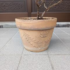 植木　素焼き植木鉢の画像