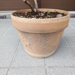 植木　素焼き植木鉢の画像
