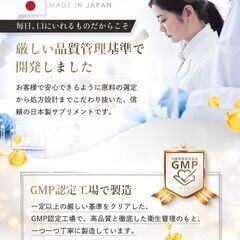 【新品・未使用】ビタミンc サプリ 乳酸菌（30日分）の画像