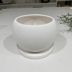 standard products 植木鉢 陶器鉢の画像