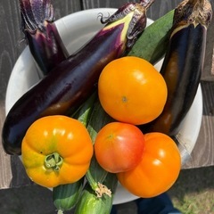 家庭菜園したい方募集中