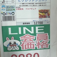 🉐LINE会員限定スペシャル価格🉐【ピグレットジュニア】　8880円　27ー60の画像