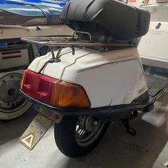 YAMAHA ベルーガ80の画像