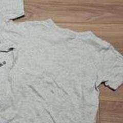 プチバトーTシャツの画像