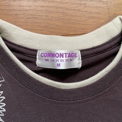 Tシャツ　Mサイズの画像