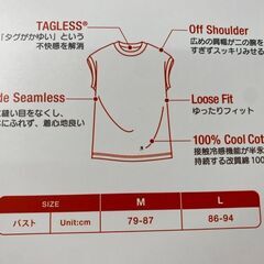 T214/ヘインズ　レディース　スリーブレスティー　2枚入り　日本サイズ　Lサイズの画像