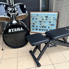 【本日限定無料】ドラムセット、トレーニングベンチ、標本