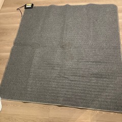 本日まで✨処分予定ホットカーペットの画像