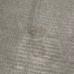 本日まで✨処分予定ホットカーペットの画像