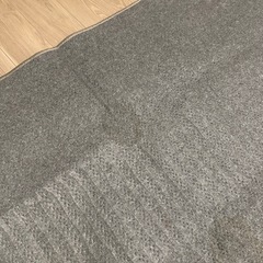 本日まで✨処分予定ホットカーペットの画像