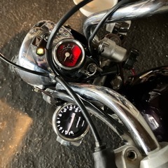 モンキーの画像