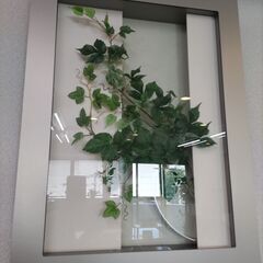 壁掛けグリーンアートの画像