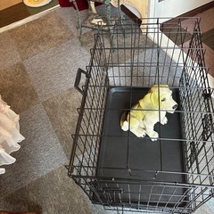 ワンコちゃん用ゲージの画像