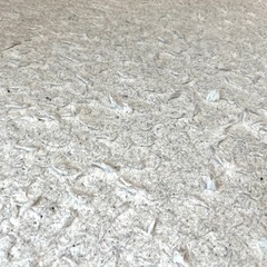 ラグの画像