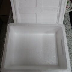 発泡スチロール箱　10個セットの画像