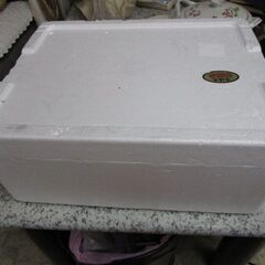発泡スチロール10個セットの画像