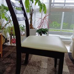 ニトリのおしゃれな椅子の画像
