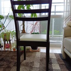 ニトリのおしゃれな椅子の画像
