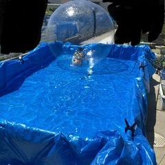 ウォーターバルーン　プール　水遊び　インテックスの画像