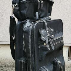 キャリーバッグの画像