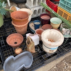 花器 鉢 
取り放題です✨の画像