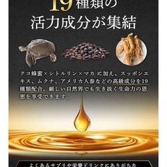 厳選19種成分配合 サプリ 1袋 活力 スタミナ マカ シトルリンの画像