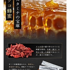 厳選19種成分配合 サプリ 1袋 活力 スタミナ マカ シトルリンの画像