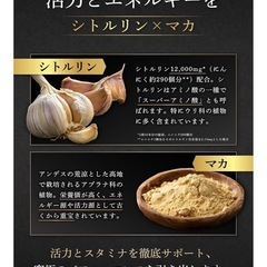 厳選19種成分配合 サプリ 1袋 活力 スタミナ マカ シトルリンの画像