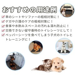 ペットシーツ ペットマット トイレシート ペット用品の画像