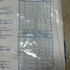 ACTIVE SPIRIT 体操服 Sサイズ ホワイトの画像