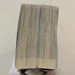 幸せの時間 (仮面の夫婦) 3巻(妻の秘め事) 4巻国友やすゆきの全2冊セット　青年漫画　マンガの画像