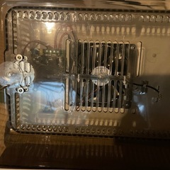 孵卵器！卵を孵化させませんか？の画像