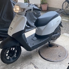 ホンダ　タクトベーシック　AF79  2022モデルの画像