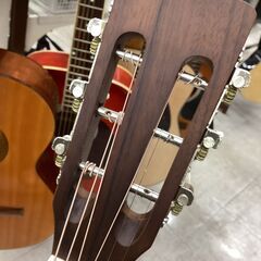 Aria ASA-18 お洒落なパーラーギターお安く販売中！の画像