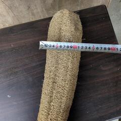 ヘチマたわしの画像