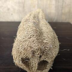 ヘチマたわしの画像