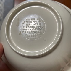 コールマン　メラミン製食器２枚の画像