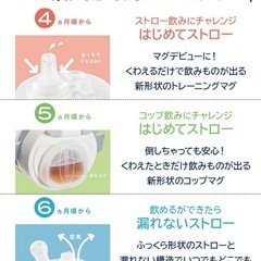ストローマグ　マグマグ　水筒　combi  の画像