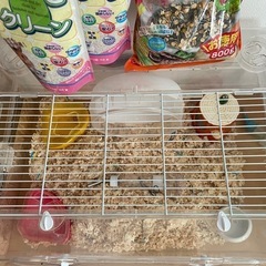 ルーミィ60 ハムスター　ハリネズミ　飼育セットの画像