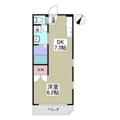 EO✨初期費用5万円⭐敷金ゼロ、礼金ゼロ、ネット使用料ゼロ、仲介...