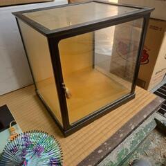 人形とガラスケースの画像