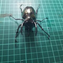 アトラスオオカブトオス単④の画像