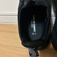 靴2足セット(決まりました)の画像